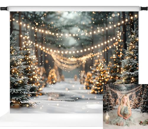 Lumières scintillantes et sapins : toile de fond photo Noël grand format Kate