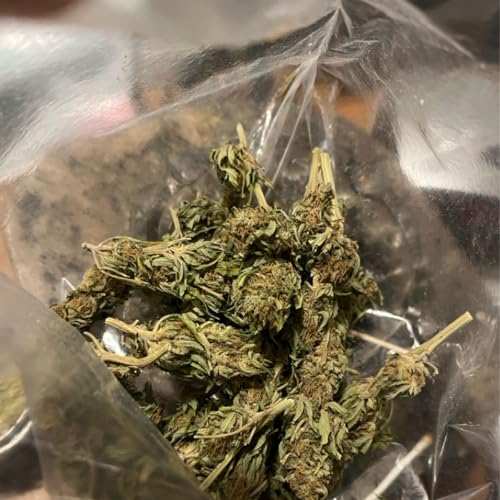 Episode 25 - Upstate The Grow Show. A follow up