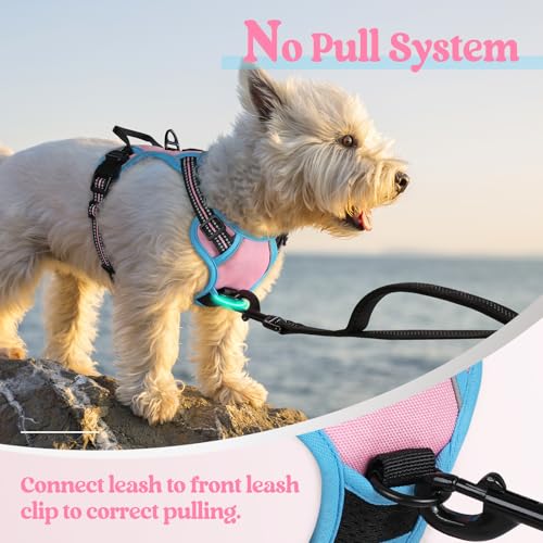 Image of rabbitgoo Dog Harness No Pull with 2 Leash Clips, Adjustable Soft Padded, Reflective Oxford No Choke Pet Vest with Easy Control Handle for Puppy, Pink & Blue, XS
