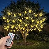 BG9D Guirlandes lumineuses solaires d'extérieur,6M 40 LED guirlandes solaires ananas avec 10 lampes,8 modes avec télécommande, étanche IP67,pour extérieur,patio,balcon,mariage,fête,jardin,blanc chaud