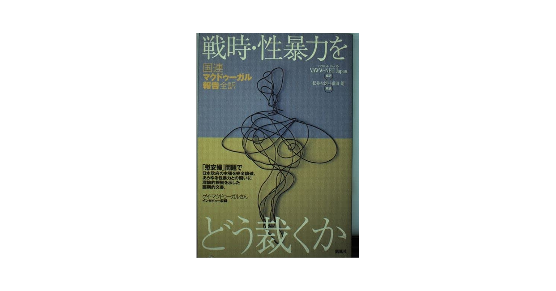 戦時・性暴力をどう裁くか: 国連マクドゥーガル報告全訳 | ゲイ