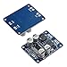 XINGYHENG 2Pcs TPA3118 Single Channel Digital Audio Power Amplifier Board Module 1X60W DC 12V-24V Converter for Audio System DIY Speakers
