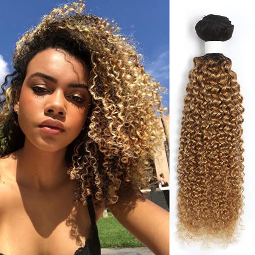 KEMY Kinky Curly Human Hair Extensions Jerry Curly Bundles Brazilian Curly Hair One Bundle 2 Tone Ombre Curly Weave 1B 27 Blond Color (22 Inch)