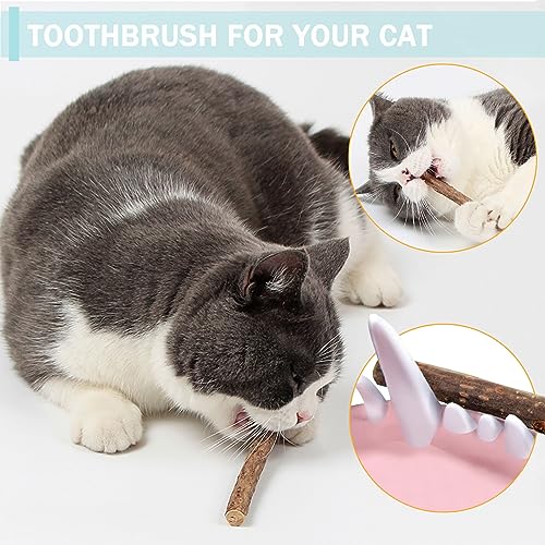 Onebarleycorn Katzenminze Sticks für Katzen, Matatabi Stick Katze Sticks Spielzeug Matabi katzensticks Katzenspielzeug für Zahnpflege,20 Stück