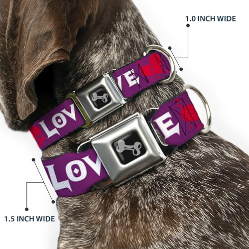 Collier de chien os réglable 18-81cm Buckle Down violet robuste large - 3