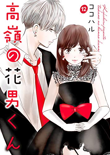 高嶺の花男くん 12巻 (Colorful!)