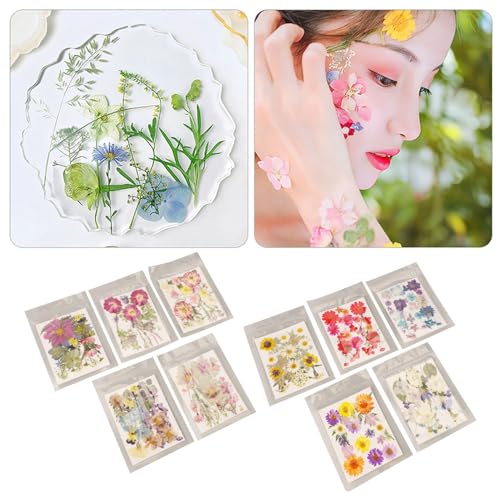 5 bolsas flores secas prensadas surtidas miniatura 6