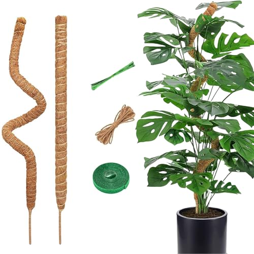 CTCEHL Tuteur Monstera,2 pcs 60 cm Support Plantes Interieur,Tuteur Plante Pliable,Grimpante Support pour Plante,pour Soutenir Les Plantes grimpantes Lors de Leur Croissance vers Le Haut