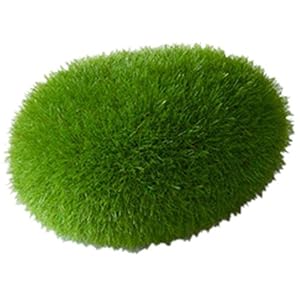 Aqua Della – Decorazione per acquario, 6 x 4,5 x 3,5 cm