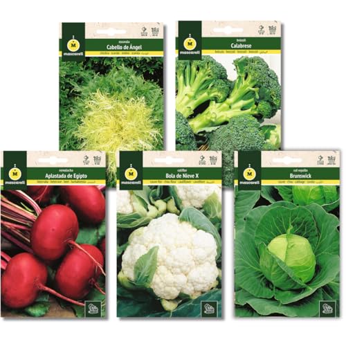 Mascarell Semillas, PACK SEMILLAS HUERTA OTOÑO-INVIERNO, Kit Huerto en Casa, Fácil de Cultivar, Contiene Brócoli, Col Repollo, Coliflor, Escarola & Remolacha, 5 Sobres