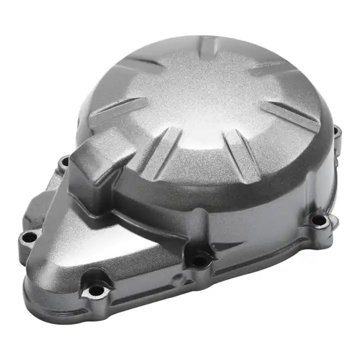 TERAM LOISIRS Carter Sinistra Stator compatibile per Kawasaki Z 900 ABS 2017 2018 2019 2020