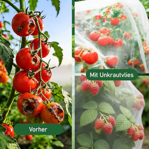 3×6m Gemüseschutznetz Insektenschutznetz mit 10 Bodenankern, Feinmaschiges Kulturschutznetz Pflanzenschutznetz für Gemüsebeet, Hochbeet & Obstbäume, Zuverlässiger Schutz vor Insekten & Vögeln