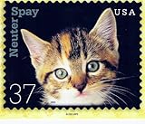POSTCARD - NEUTER SPAY CATS