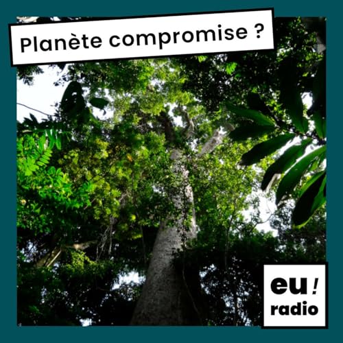 Plan&egrave;te compromise ? cover art