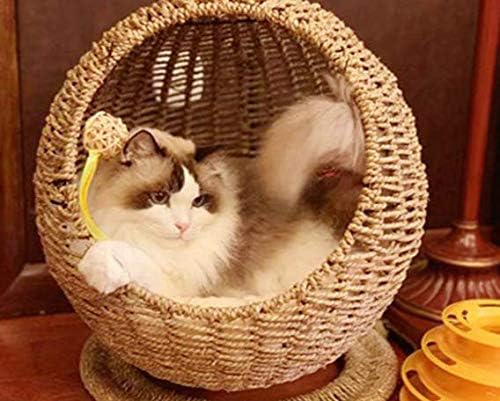Amazon Com Beixiaofen Wicker Cat Bed Basket Swinging Pet House Nest For Small Dog Cat Brown Pet Supplies