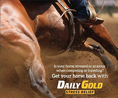 Redmond Daily Gold Natural Healing Clay For Gastric Ulcers In Horses (Stress Relief Pre-Race Paste) (3 - Pack) #TOP6