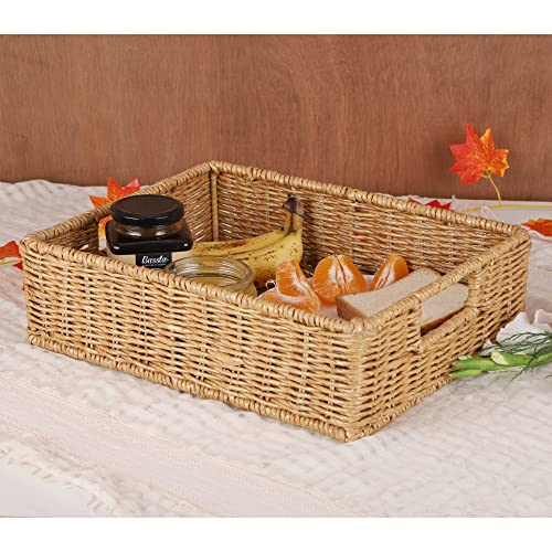 Image of DECOWAY Wicker Seagrass Kauna Grass Water Hyacinth Rattan Cane Storage Rectangular Basket - (Beige Color) (12 inchL X 8 inchW X 4 inchH)