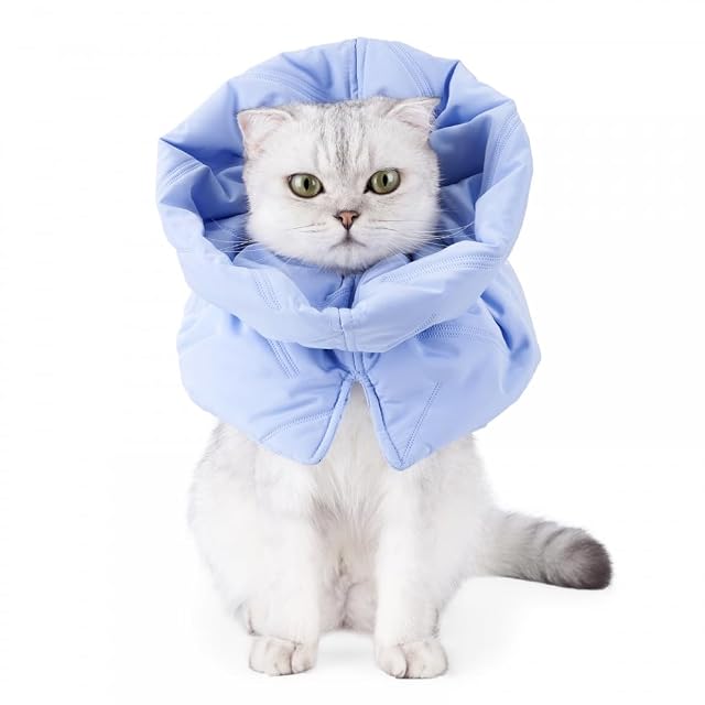 MiOYOOW - Collar de protección para gatos y gatos con protección suave, ajustable, antimordeduras, para gatos…