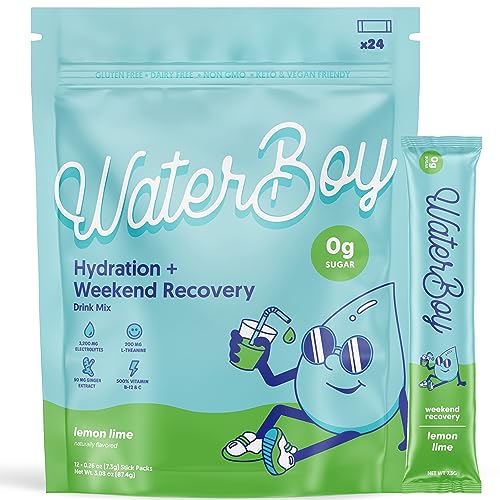 Waterboy Weekend Recovery 3,200mg Electrolyte Powder Packets Ginger