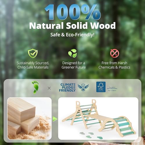 Image of BlueWood 10-in-1 Pikler Triangle Set, Toddler Climbing Toys Indoor, Montessori Climber, Baby Jungle Gyms with Arch, Extra Rope Ladder & Footprint Balance Beam - Emerald Forest