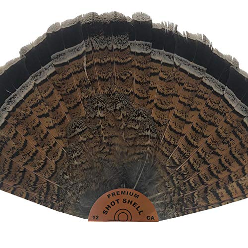 Top 10 Best Shot Size For Pheasant Reviews & Buying Guide Katynel