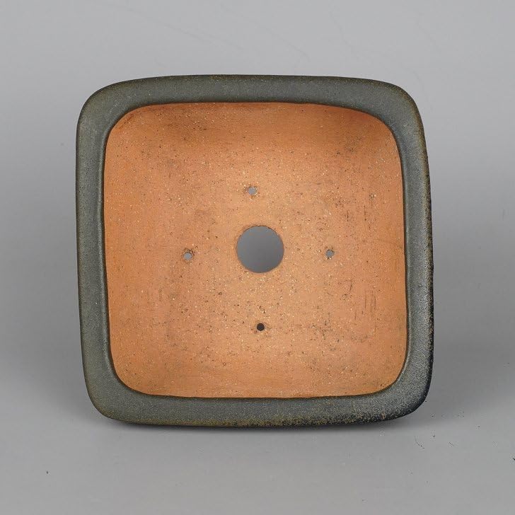 Amazon.co.jp: 盆栽鉢 常滑 鴻陽造 小型 長辺 約12.3cm 正方鉢 撫角