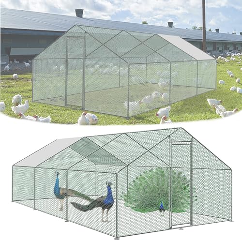 SAILUN Chicken Run Coop Outdoor with Lock 3 x 6 x 2 m Chicke