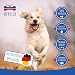 MERVELA Lammpansen für Hunde | 500 Gramm | Qualität aus Deutschland | 100% natürliche Kauartikel | getrockneter Kausnack ohne Zusatzstoffe