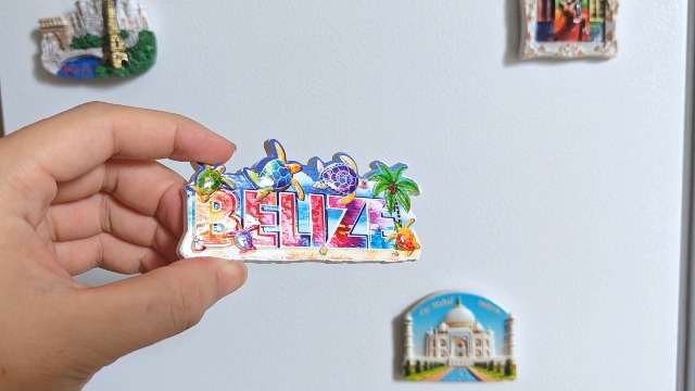 Imán Decorativo de Resina 3D Tortuga Marina 10cm x 5cm miniatura 7