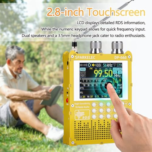 Radio DSP Full Band DP-666 2.8 pulg Pantalla color 5000mAh miniatura 5