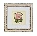 IMAX 47338-4 Lynette Framed Artwork, Set of 4