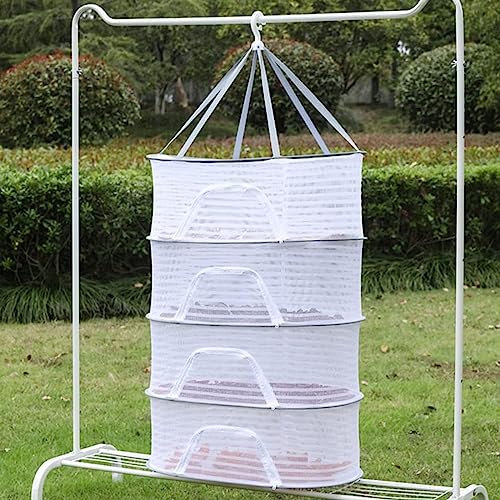 Dazztime Red De Secado De Hierbas Plegable De 4 Capas, Colgante Con Cremallera Para Secar Verduras, Carne, Hierbas, Pescado Y Más Dazztime Red De Secado De Hierbas Plegable De 4 Capas, Colgante Con Cremallera Para Secar Verduras, Carne, Hierbas, Pescado Y Más