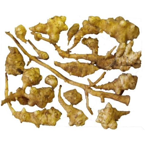 Jerusalem Artichokes -Perennial-organic Plants-sunchoke Tubers-plant-each 1 Pound by Yumheart Gardens Cover