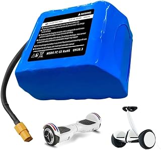24 Volt Lithium-Ionen-Ersatzakku (25,2 V, 29,4 V, 4000 mAh) für Hoverboard, Elektroroller und selbstbalancierende Akkus.