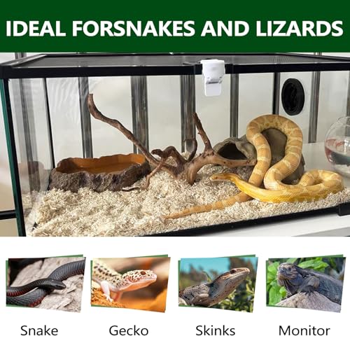 BNOSDM Roupa de cama natural de terrário de répteis pequenos para animais de estimação selecionados,