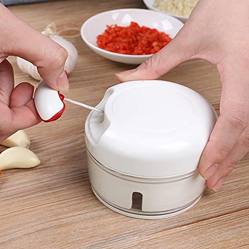 Mini Processador de Alho Branco Wincy