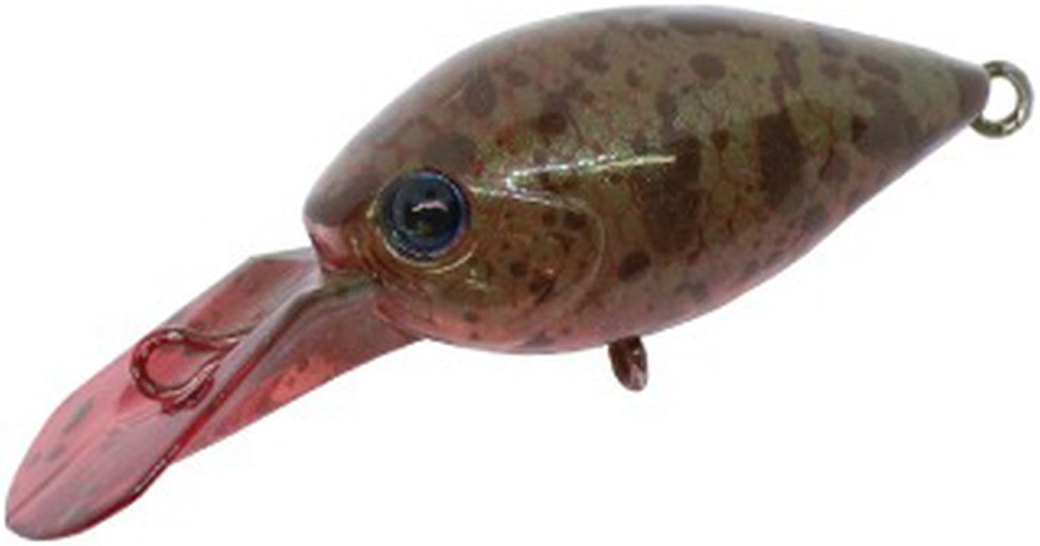 ディスプラウト(Daysprout) チャタクラ DR