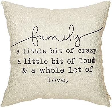 Fjfz Family a Little Bit of Crazy Decorative Throw Pillow Covers, Farmhouse Quote Home Rustic Decorations, Christmas Inspirational Gifts Winter Cotton Linen Cushion Case Decors for Sofa Couch 18 × 18