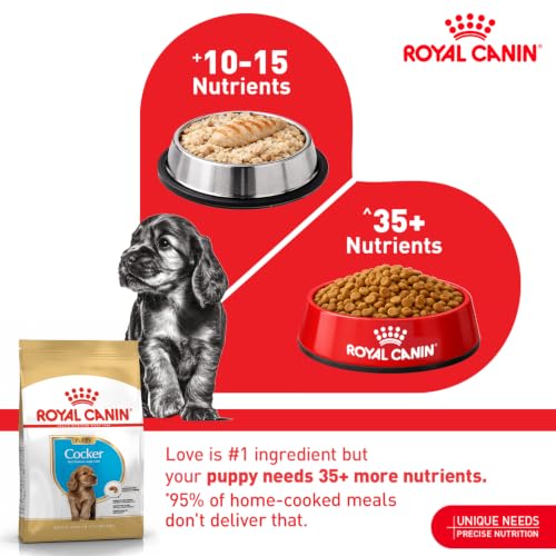 Image of Royal Canin Cocker Puppy, Dry Food, 3 kg
