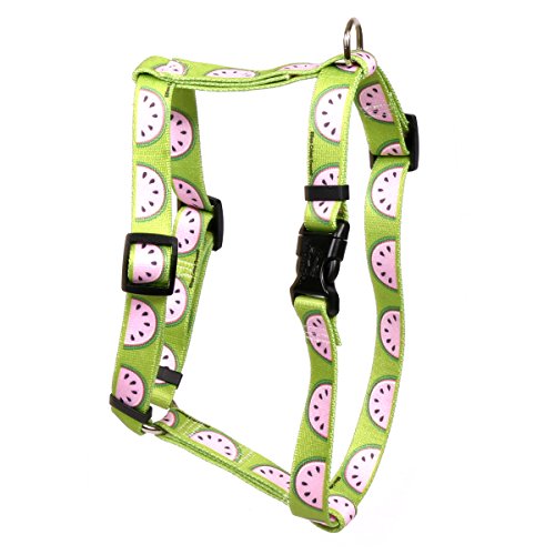 Image of Yellow Dog Design Wonderful Watermelons Roman Style Dog Harness-X-Small-3 /8 and fits Chest 8 to 14 inch