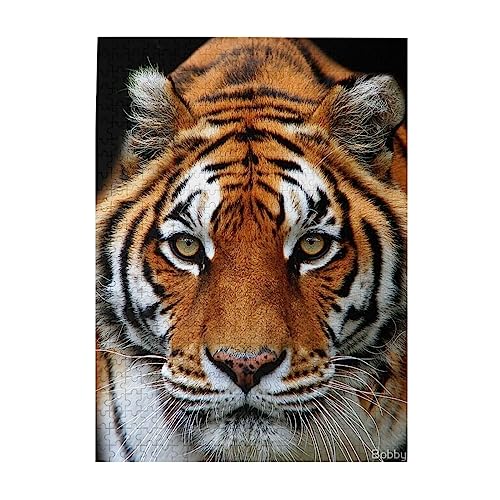 WO\[pY k   500s[X ؐpY ]`W DiỷƂ̑ ʃv[g yV sN`ApY 蕨 a LO j NX}X 500pcs