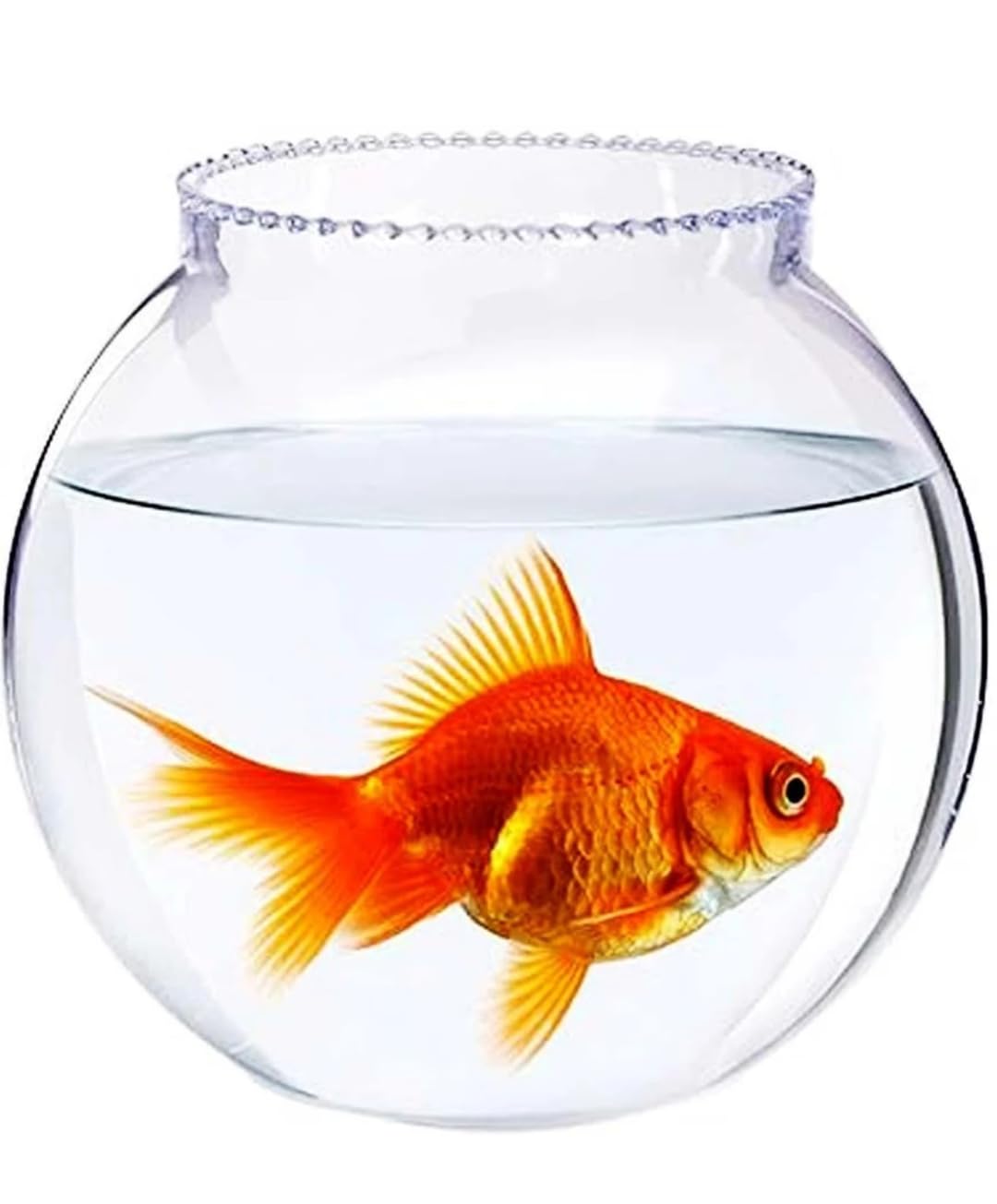 Shiv Enterprises Glass Fish Bowl (Surface (Glass) (8 inches, 3.5 L)-picture-23