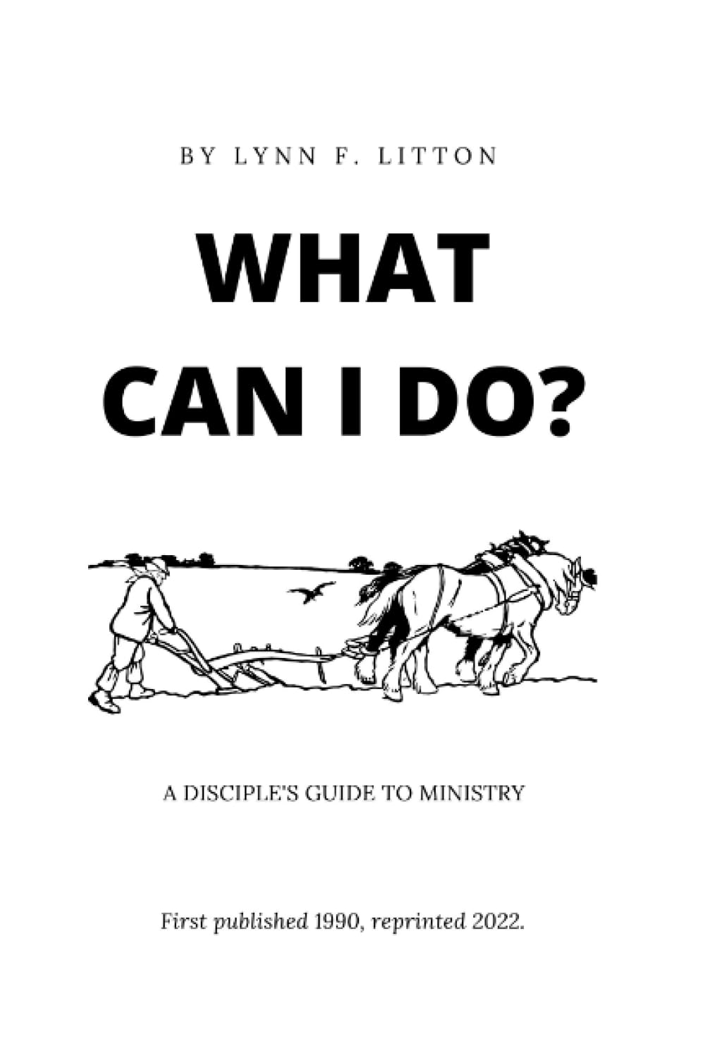 What Can I Do?: A Disciple's Guide to Ministry