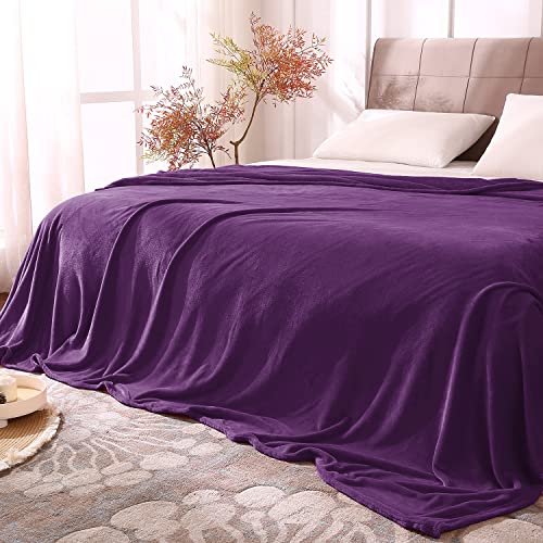 Image of BEDELITE Fleece Blankets Queen Size Purple Throw Blankets for Bed, Luxury Plush Cozy Fuzzy Blanket 90x90 inches, Super Soft Warm Lightweight Throw Blanket All Seasons Suitable