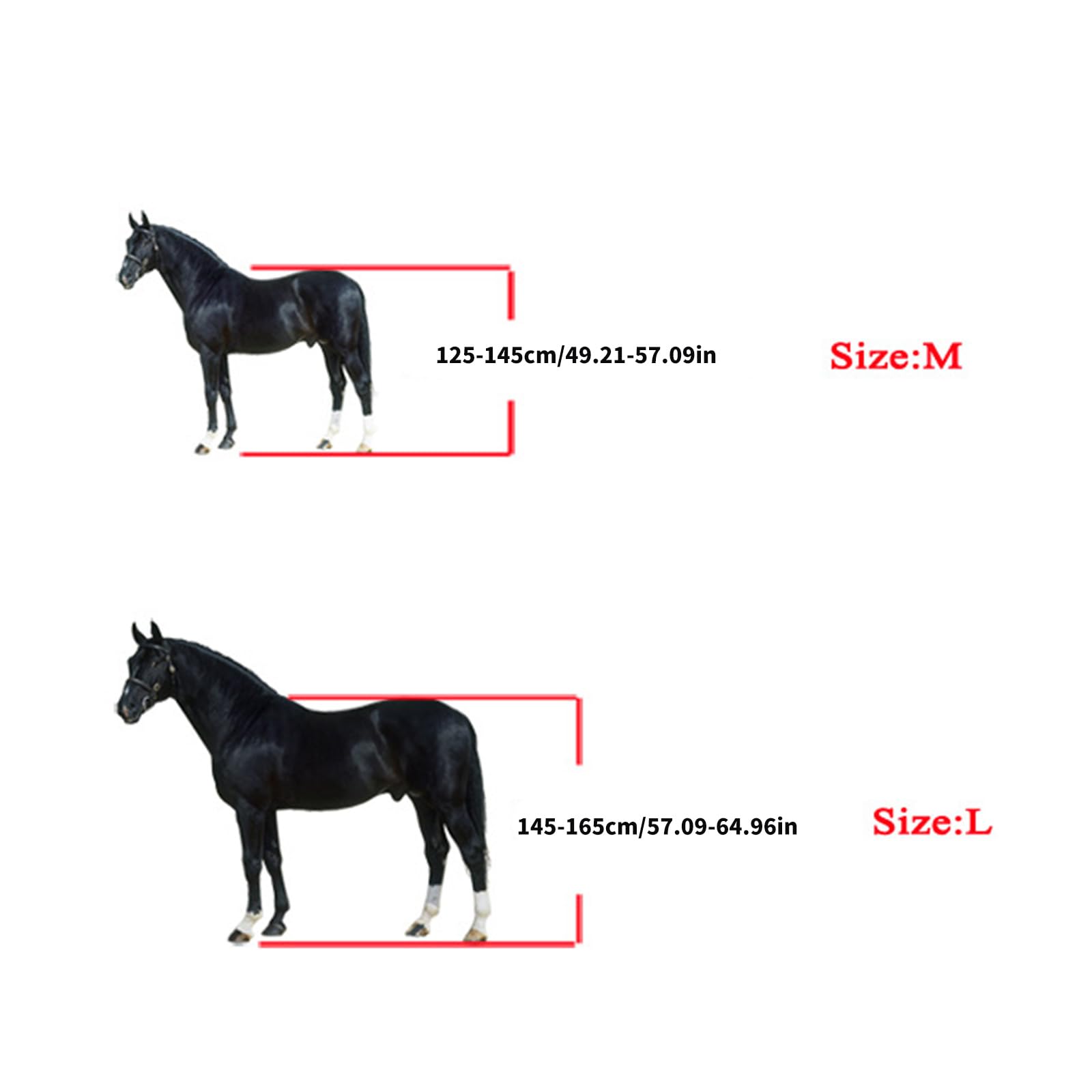Caballo de cuero elegante de alta calidad con hebillas de aleación, impermeable y resistente al olor, para ecuestres, deportes, ecuestres, caballo, cabeza
