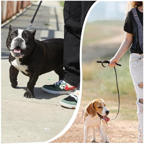 15m Schleppleine für Hunde, Schleppleine für Kleine Hunde, Ausbildungsleine, Robuste Nylon Hundeleine, Lange Hundeleine für Training und Outdoor, Ideal zum Spielen, Campen oder für den Garten