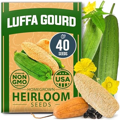 HOME GROWN Luffa Seeds - (Bulk Pack) 40 Non-GMO, Heirloom Loofah Seeds for Planting, USA Sourced, Great for Sponges or Edible Vegetable (Luffa aegyptiaca) Cover
