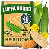 HOME GROWN 𝗨𝗦𝗔 𝗣𝗥𝗘𝗠𝗜𝗨𝗠 Luffa Seeds (Luffa aegyptiaca) 40 Heirloom 𝗡𝗢𝗡-𝗚𝗠𝗢 Loofah Gourd Seeds for Planting High Germination Rate - Make Sponges or Harvest Young Loofahs for Eating