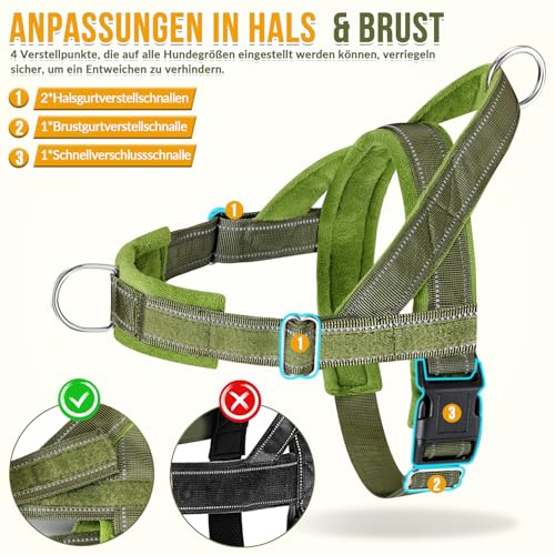 Eyein Hundegeschirr mit Leine für große mittelgroße Hunde, Weich gepolsterter Brustgeschirr mit 2 Leinenclips, Reflektierend & Leichtgewicht Anti Zug Geschirr für Spaziergänge Training, Grün, XL