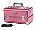SHANY Premier Fantasy Professional Makeup Train Case Cosmetic Box Portable Makeup Case Organizer Jewelry storage with Locks, 3 Trays, Makeup Brush Holder and Cosmetics Mirror - Pink Diamond